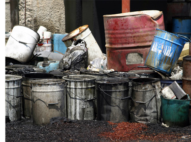 Waste Services